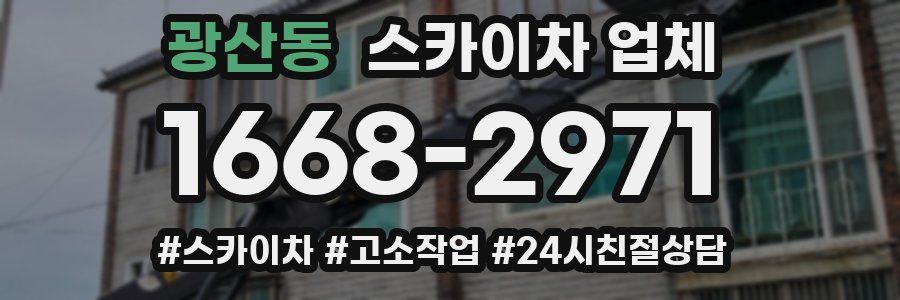 광산동 스카이차 업체