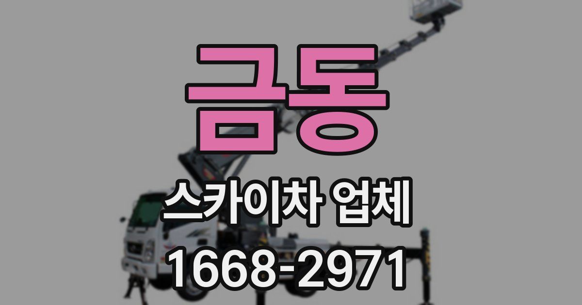 금동 스카이차 업체
