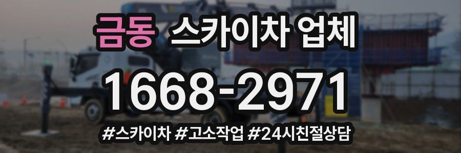 금동 스카이차 업체