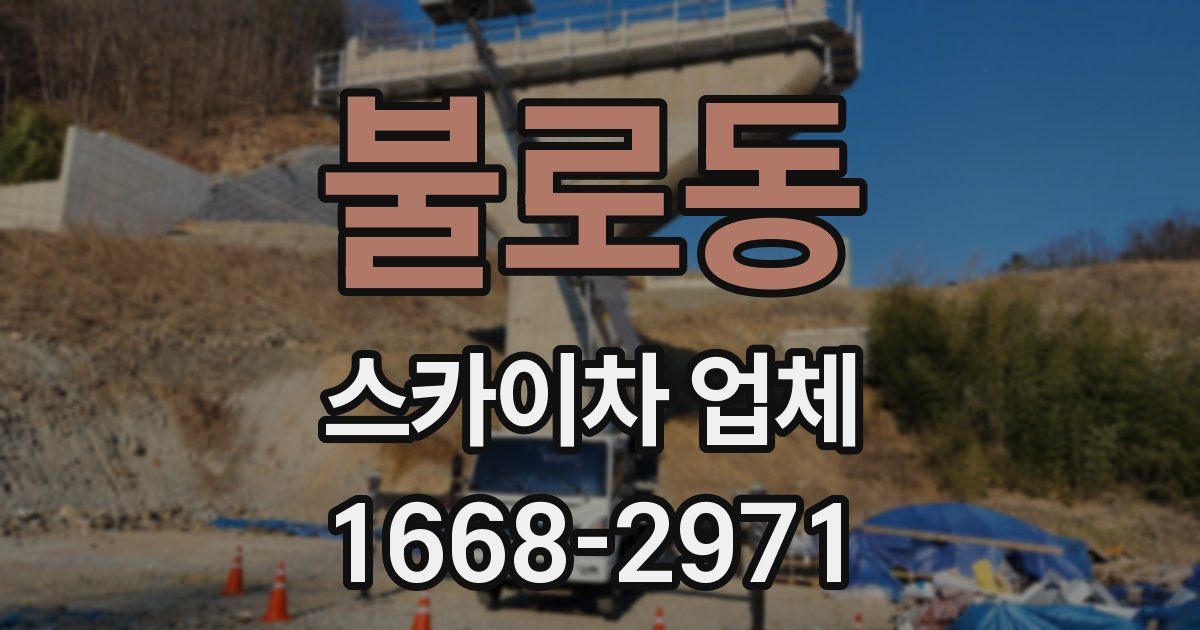불로동 스카이차 업체