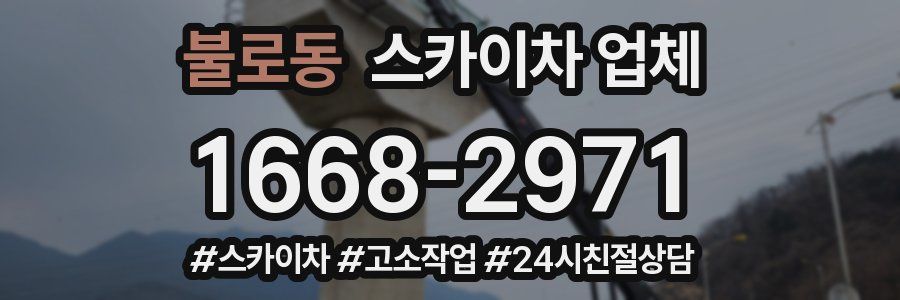불로동 스카이차 업체