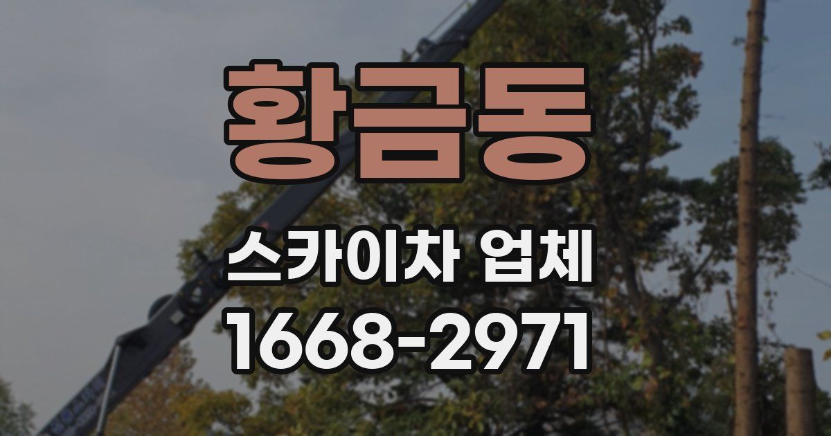 황금동 스카이차 업체