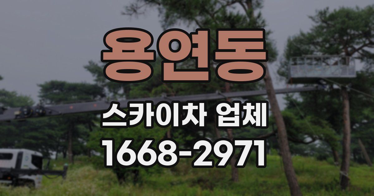 용연동 스카이차 업체