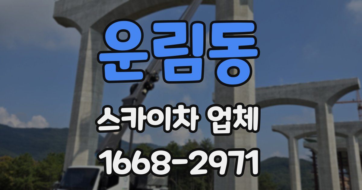 운림동 스카이차 업체