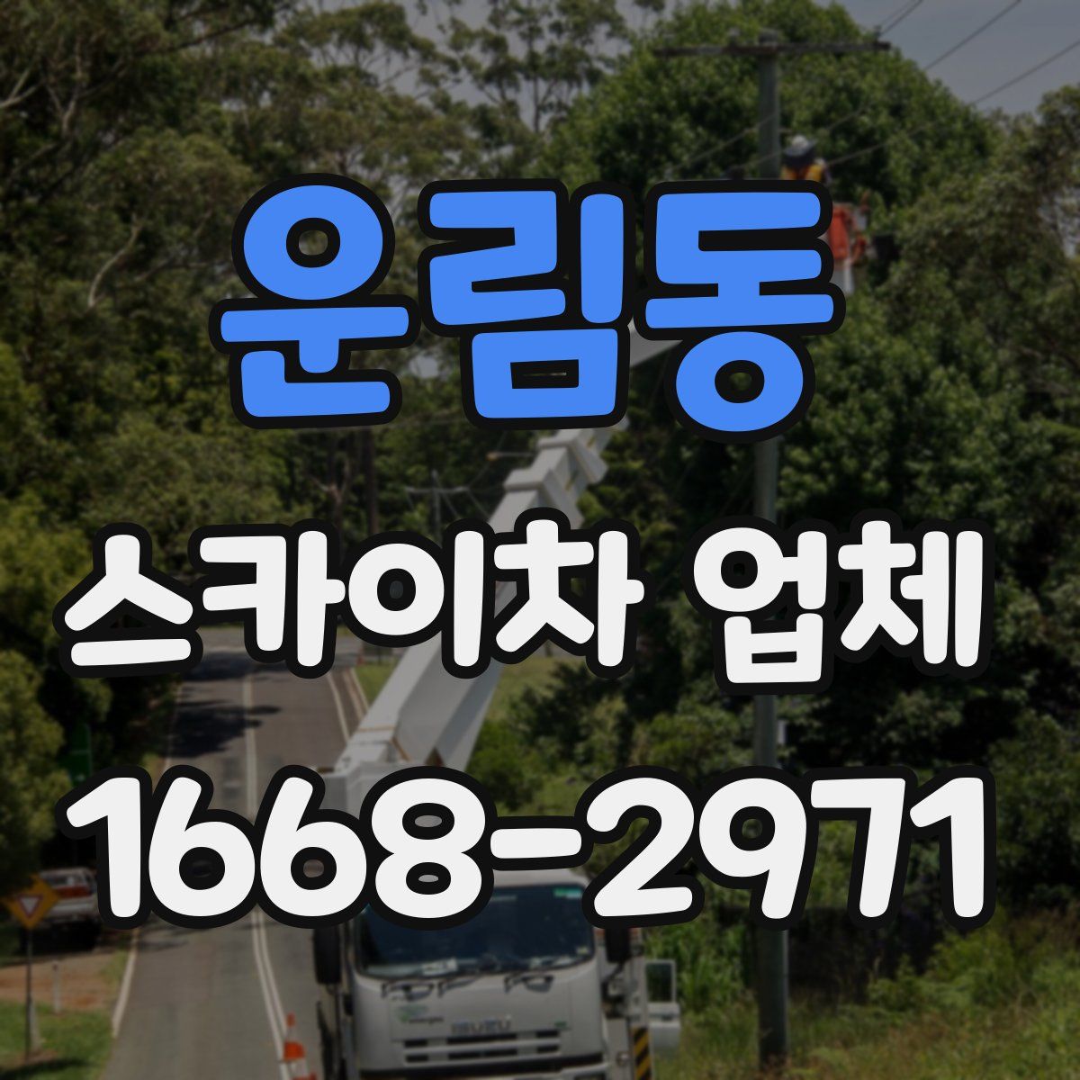 운림동 스카이차 업체