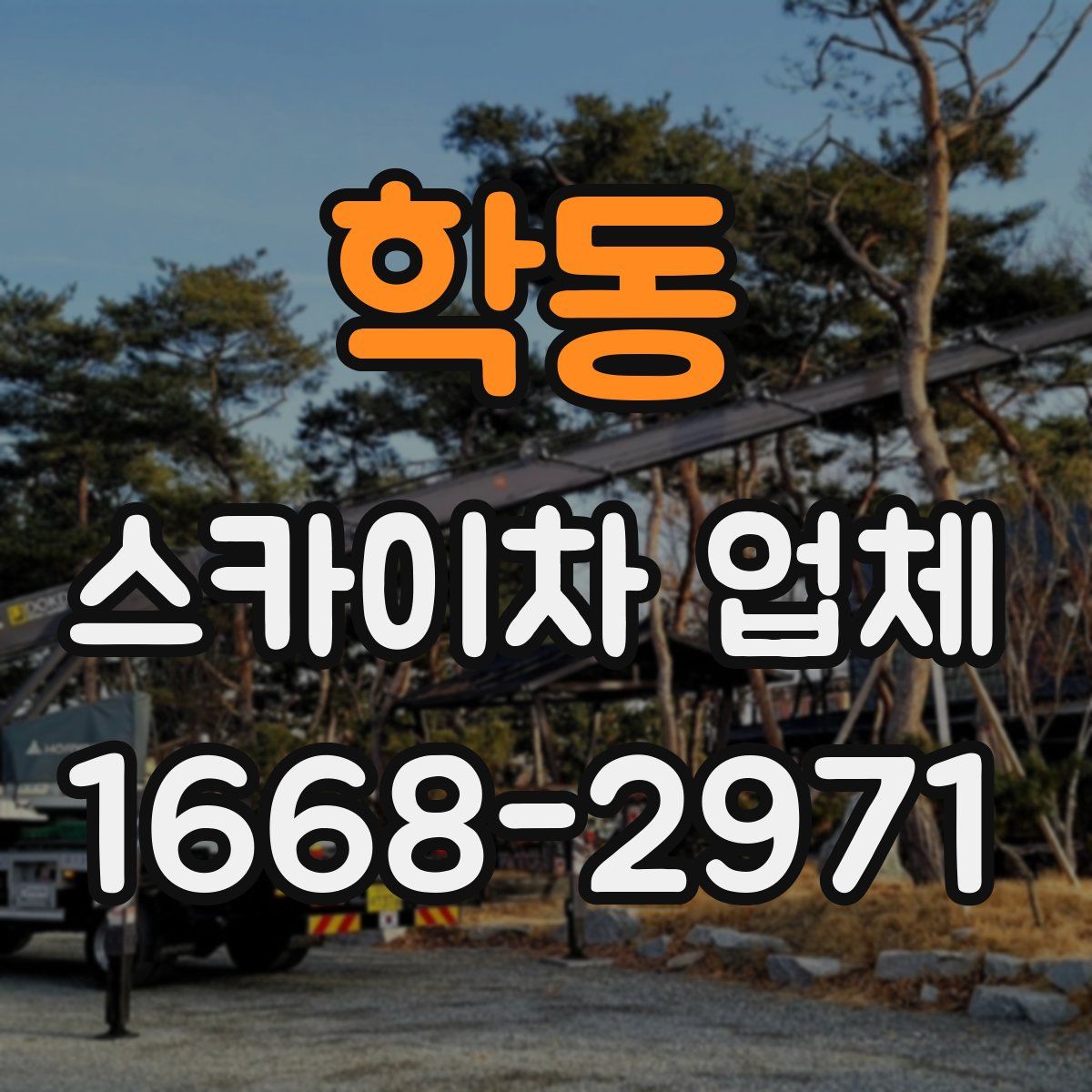 학동 스카이차 업체