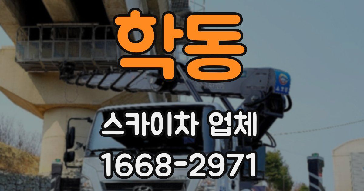 학동 스카이차 업체
