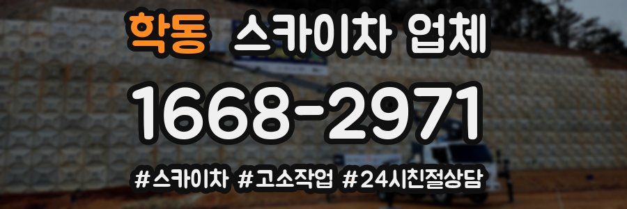 학동 스카이차 업체