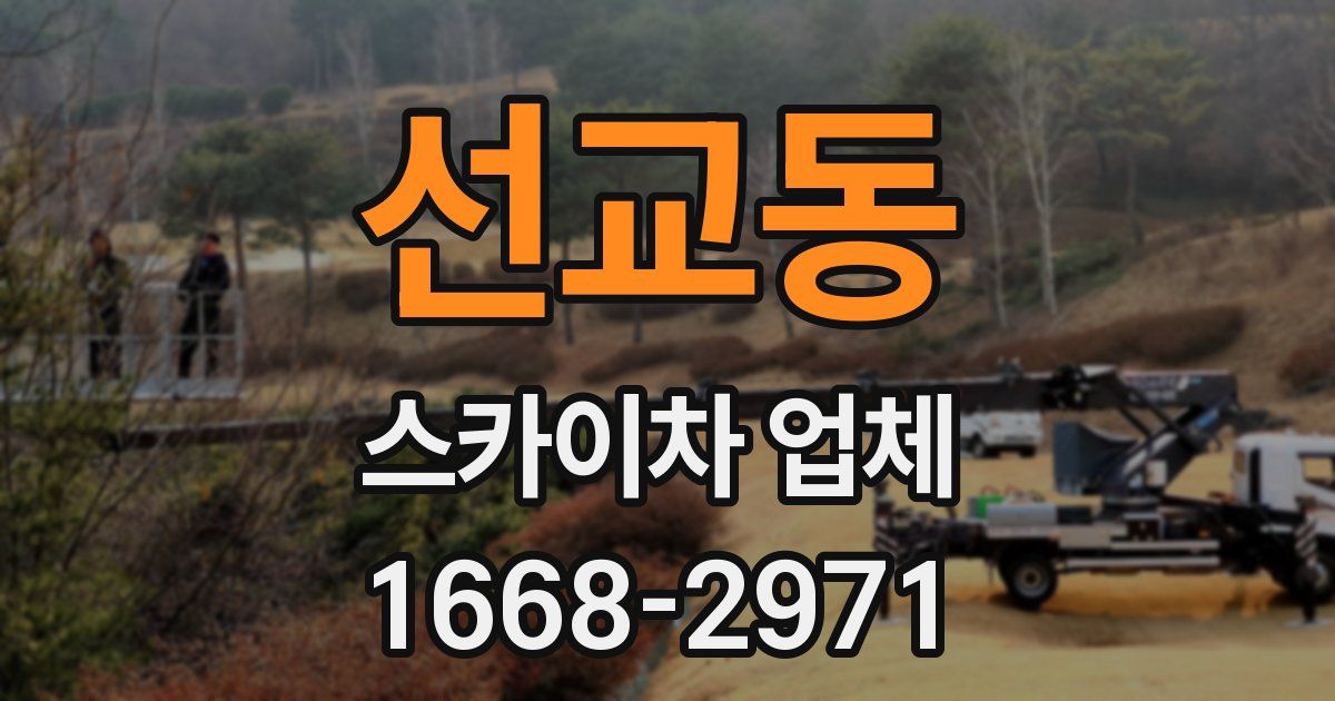 선교동 스카이차 업체