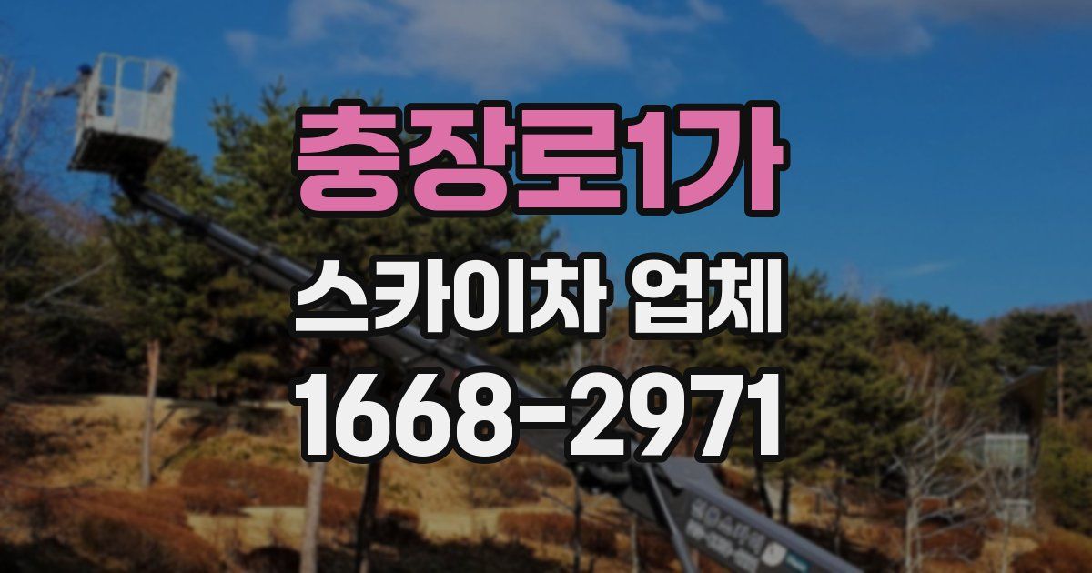 충장로1가 스카이차 업체