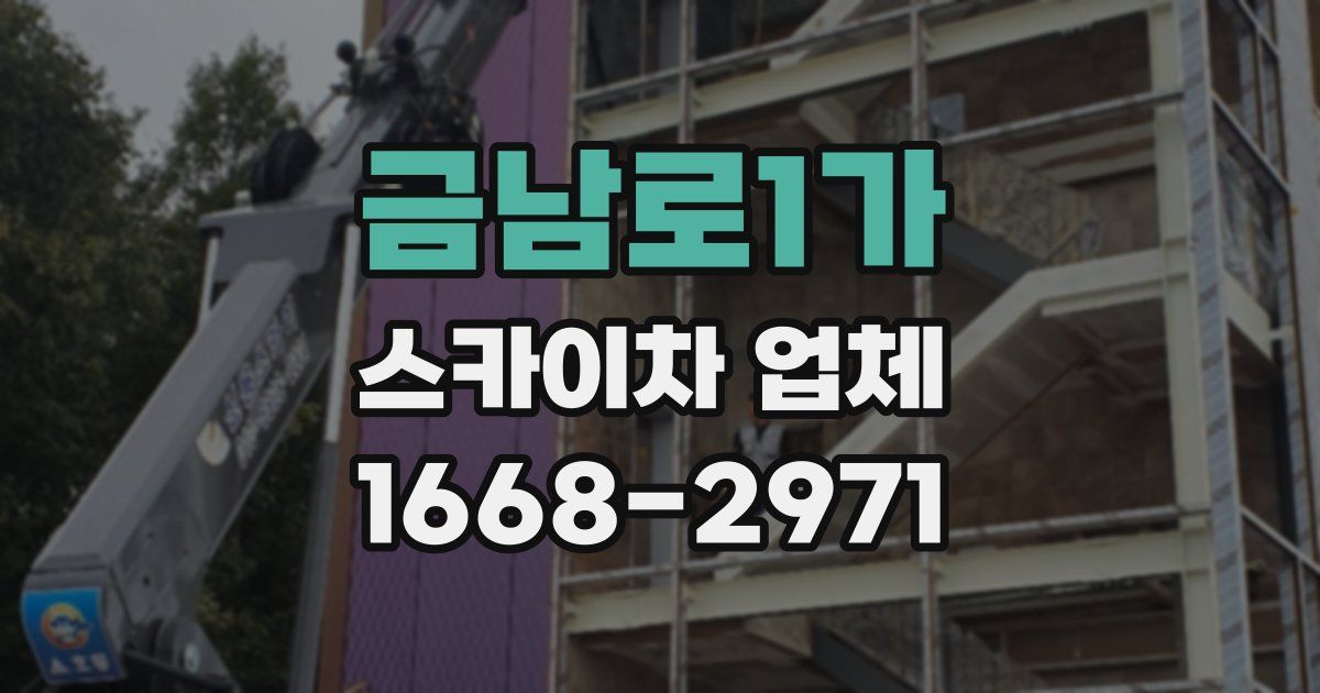 금남로1가 스카이차 업체