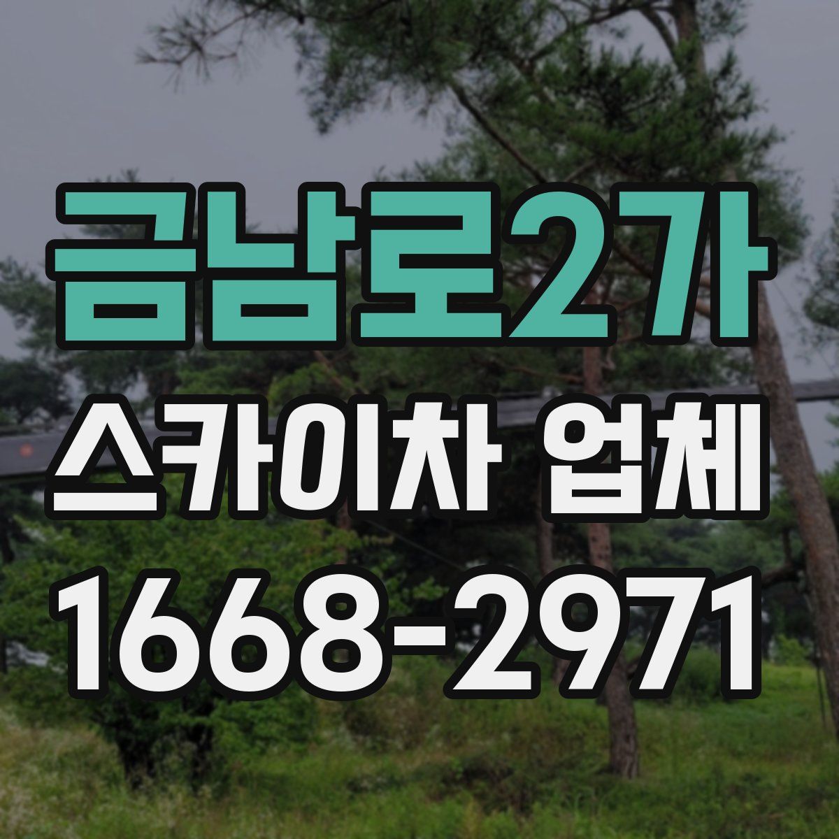 금남로2가 스카이차 업체