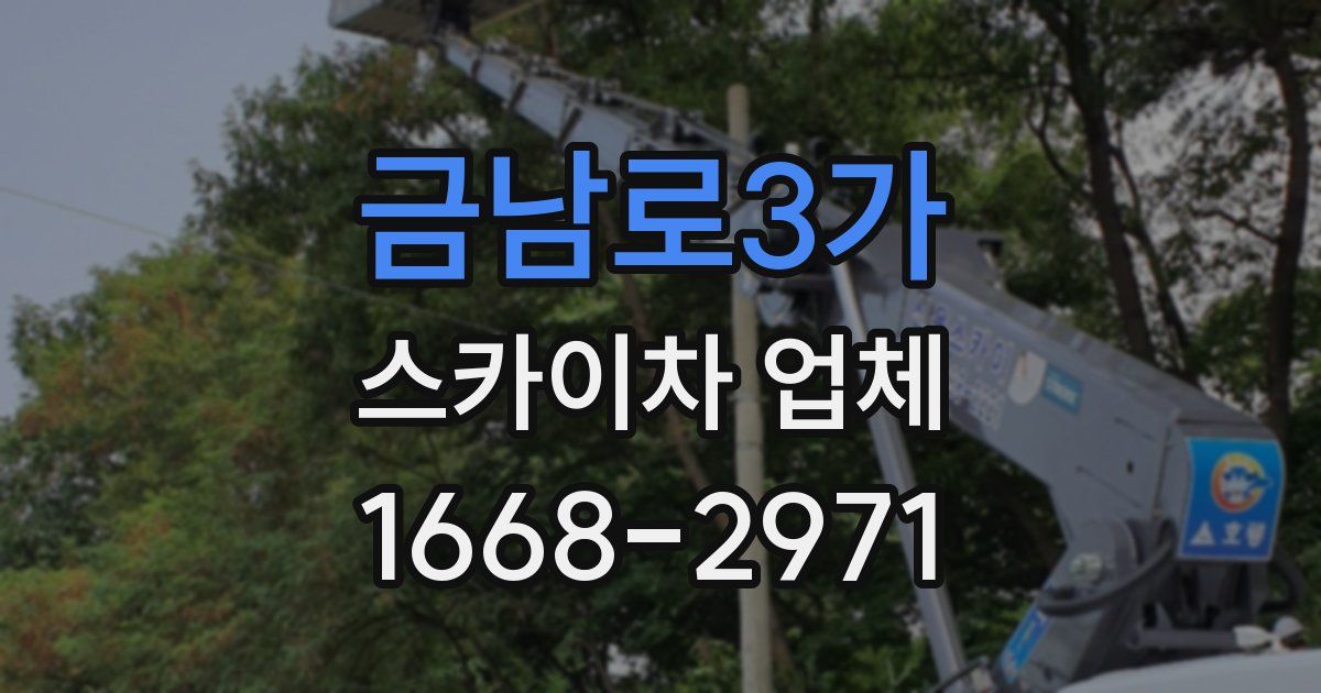 금남로3가 스카이차 업체