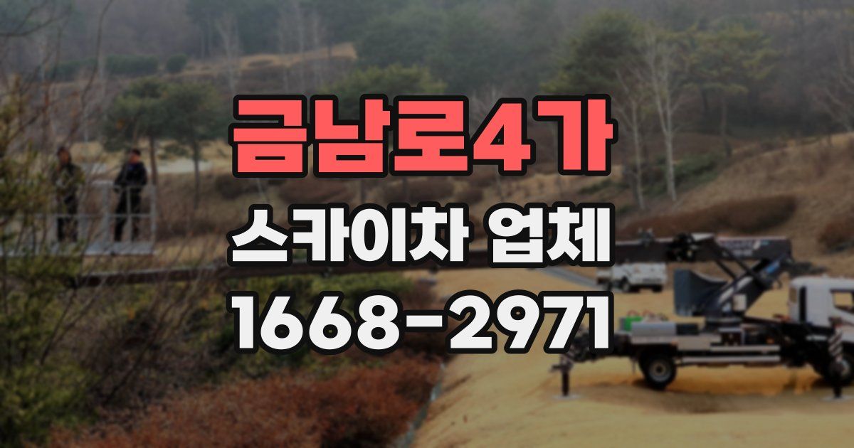 금남로4가 스카이차 업체