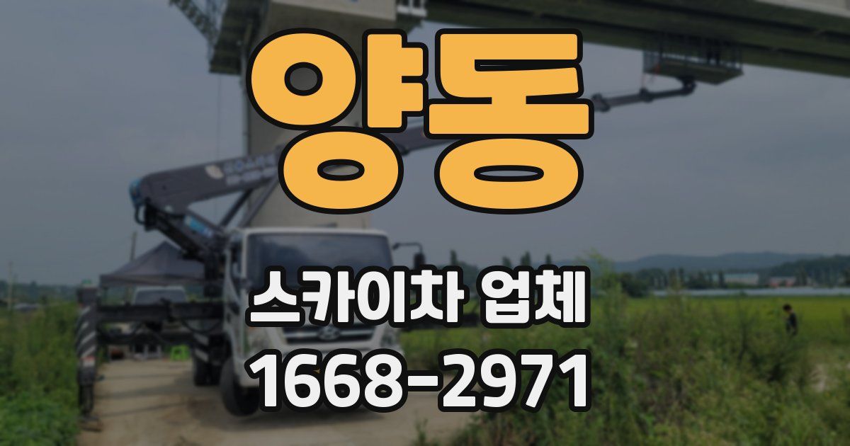 양동 스카이차 업체