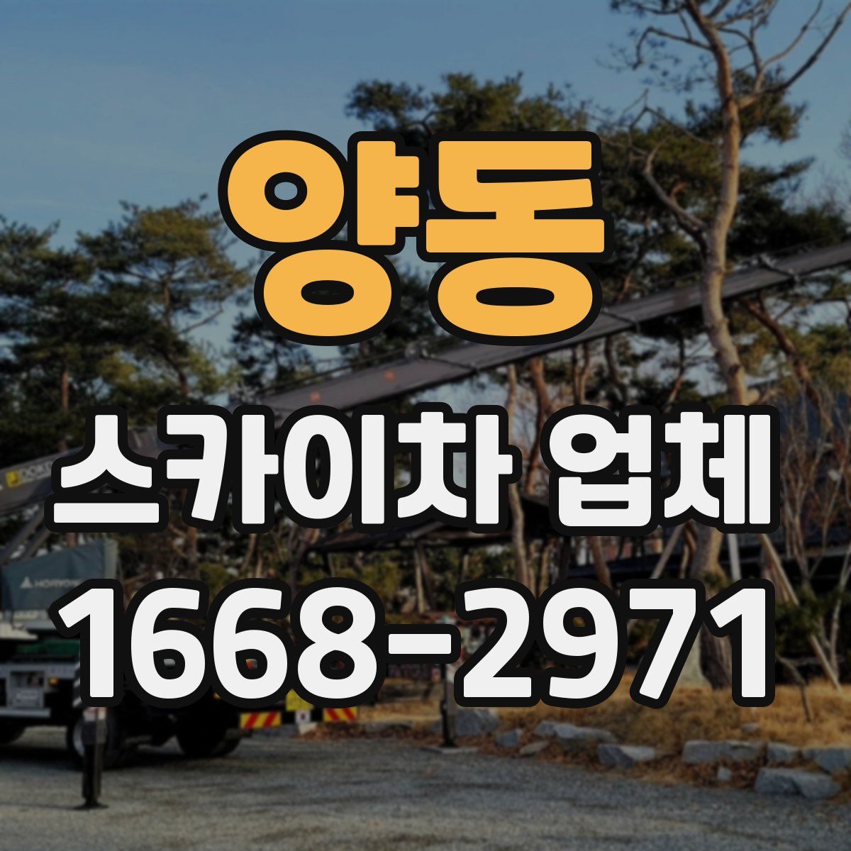 양동 스카이차 업체