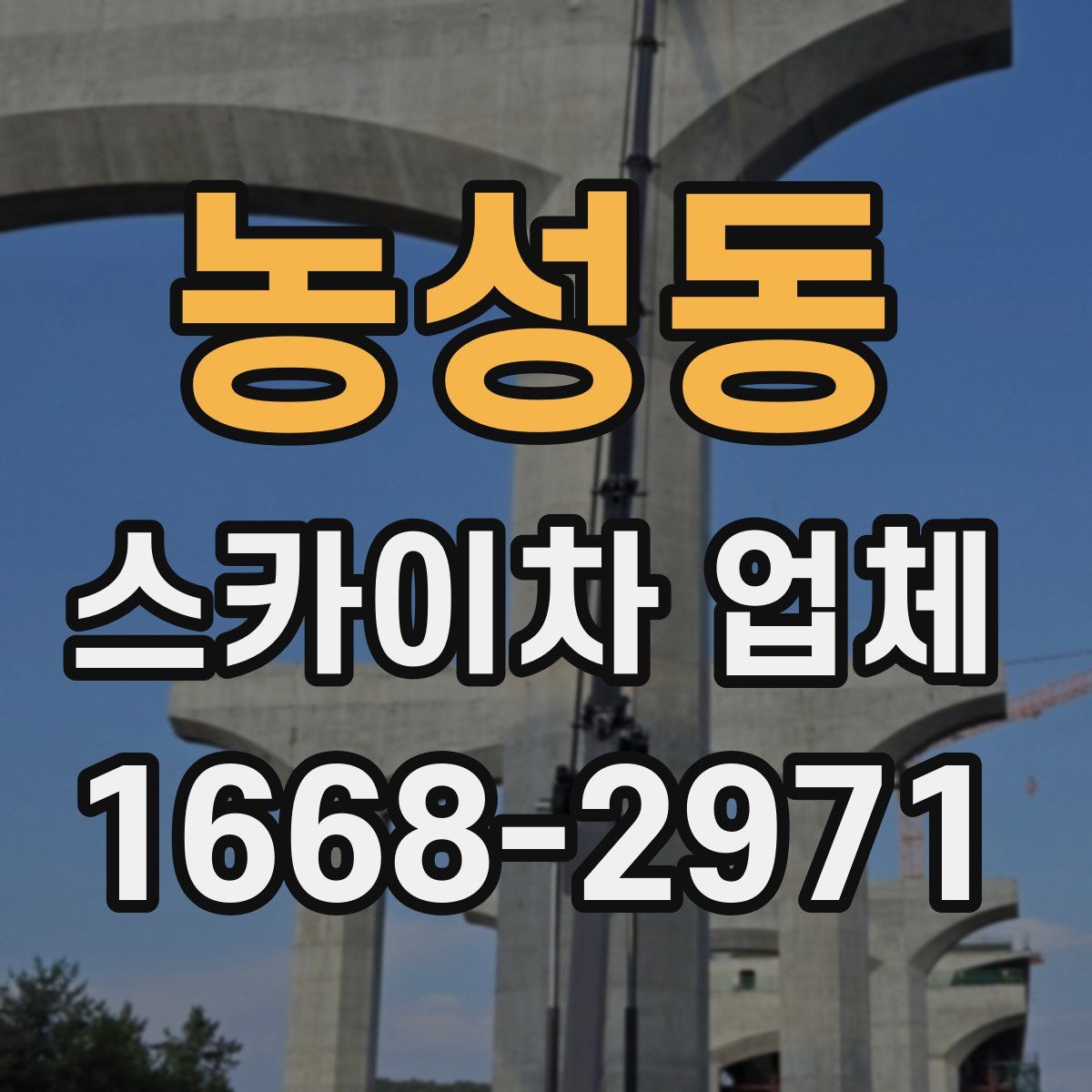 농성동 스카이차 업체