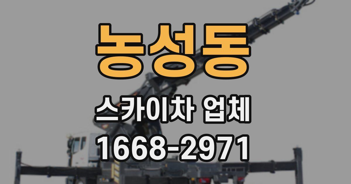 농성동 스카이차 업체