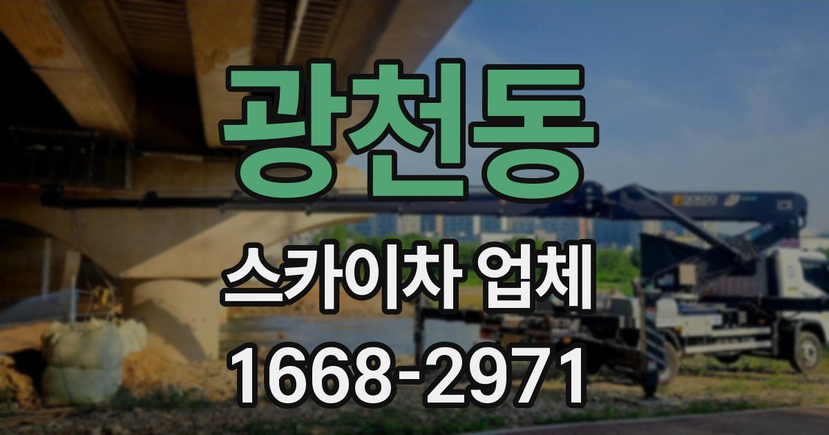 광천동 스카이차 업체