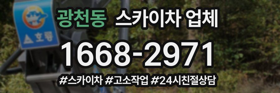 광천동 스카이차 업체