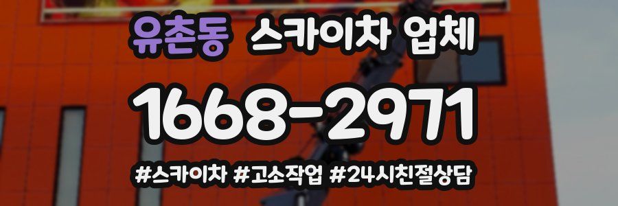 유촌동 스카이차 업체