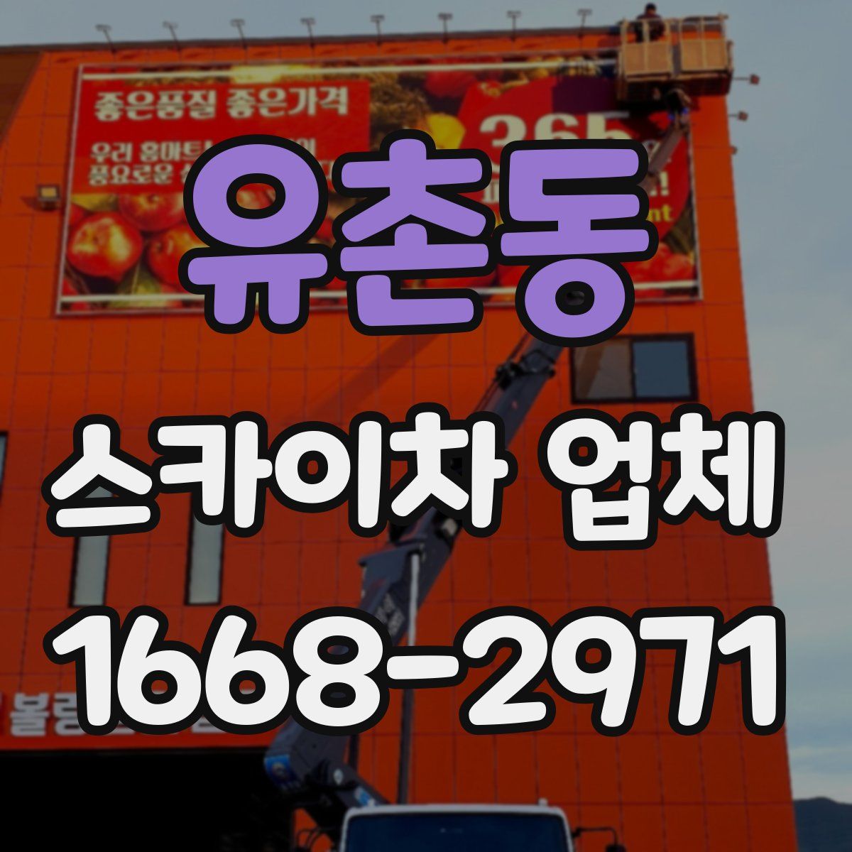 유촌동 스카이차 업체