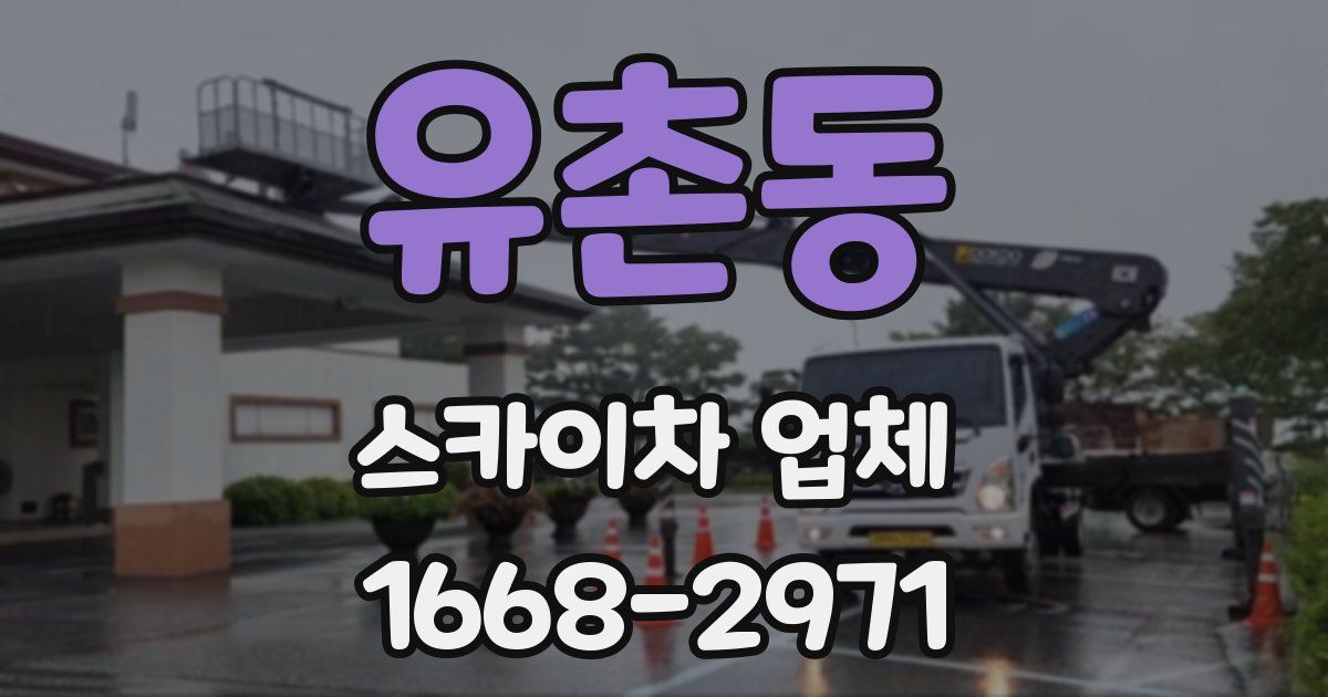 유촌동 스카이차 업체