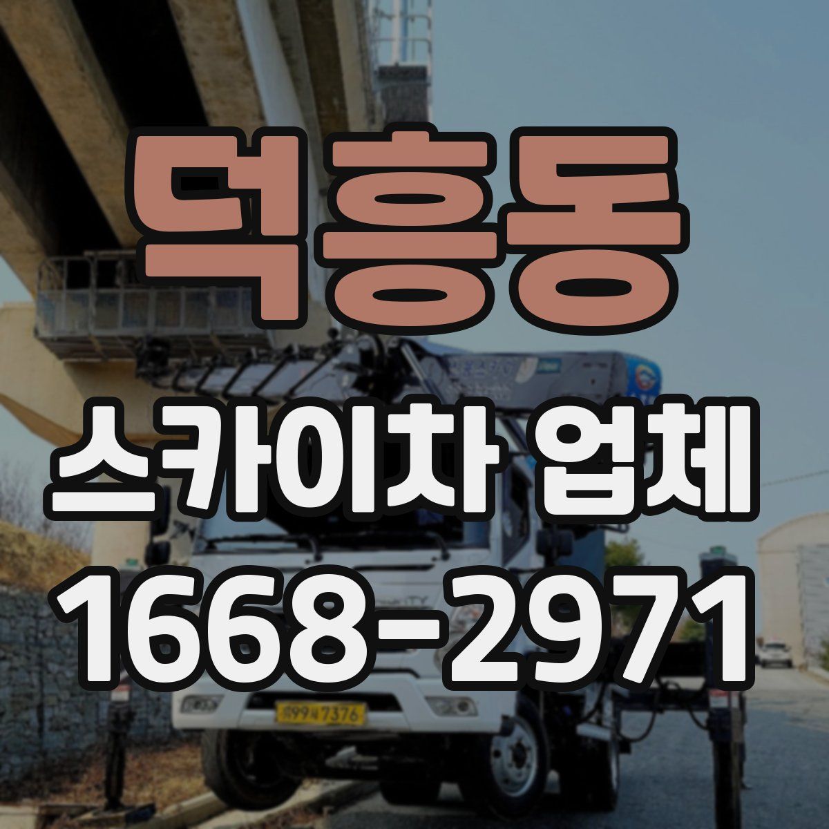 덕흥동 스카이차 업체