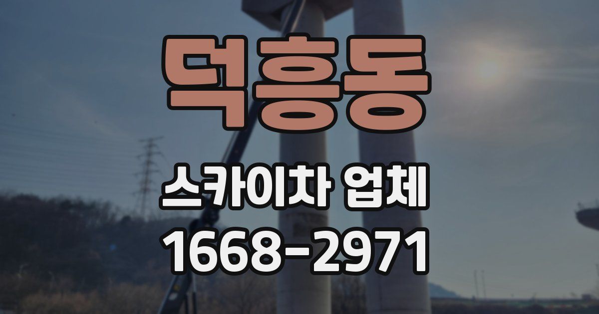 덕흥동 스카이차 업체