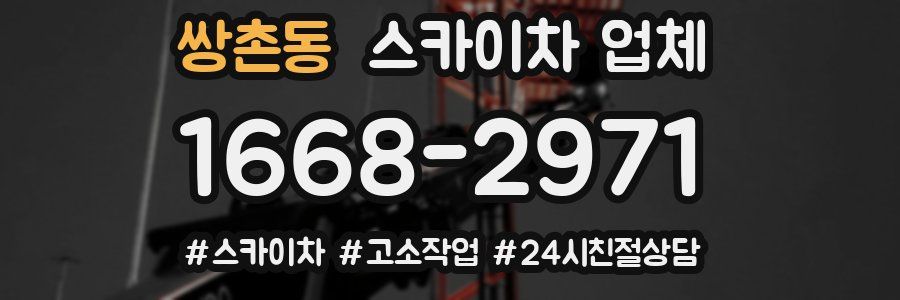 쌍촌동 스카이차 업체