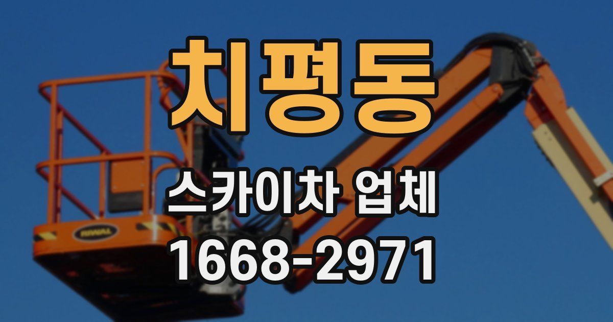 치평동 스카이차 업체