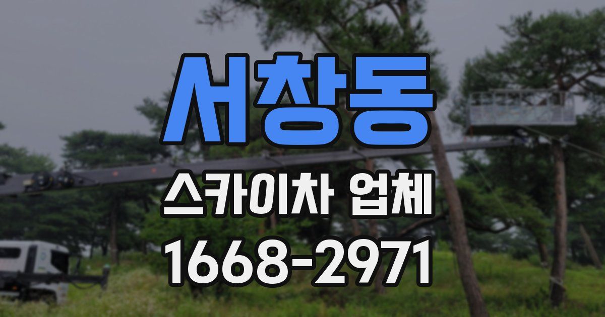 서창동 스카이차 업체