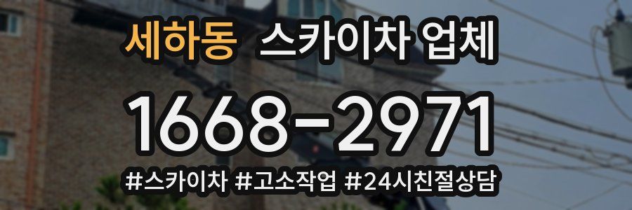 세하동 스카이차 업체