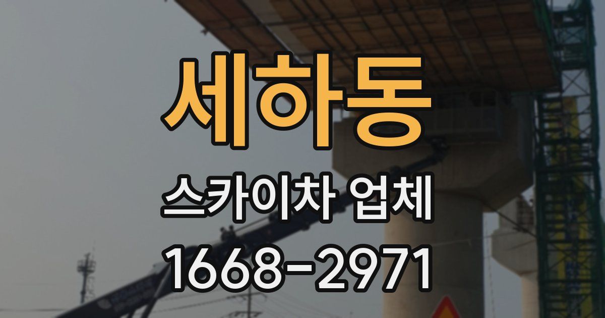 세하동 스카이차 업체