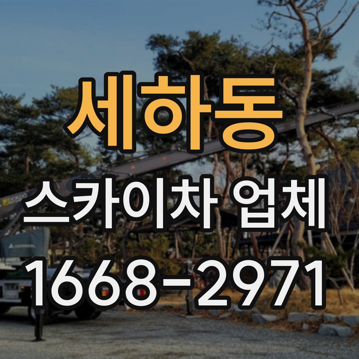 세하동 스카이차 업체
