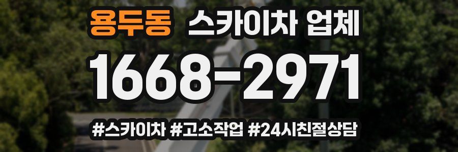 용두동 스카이차 업체