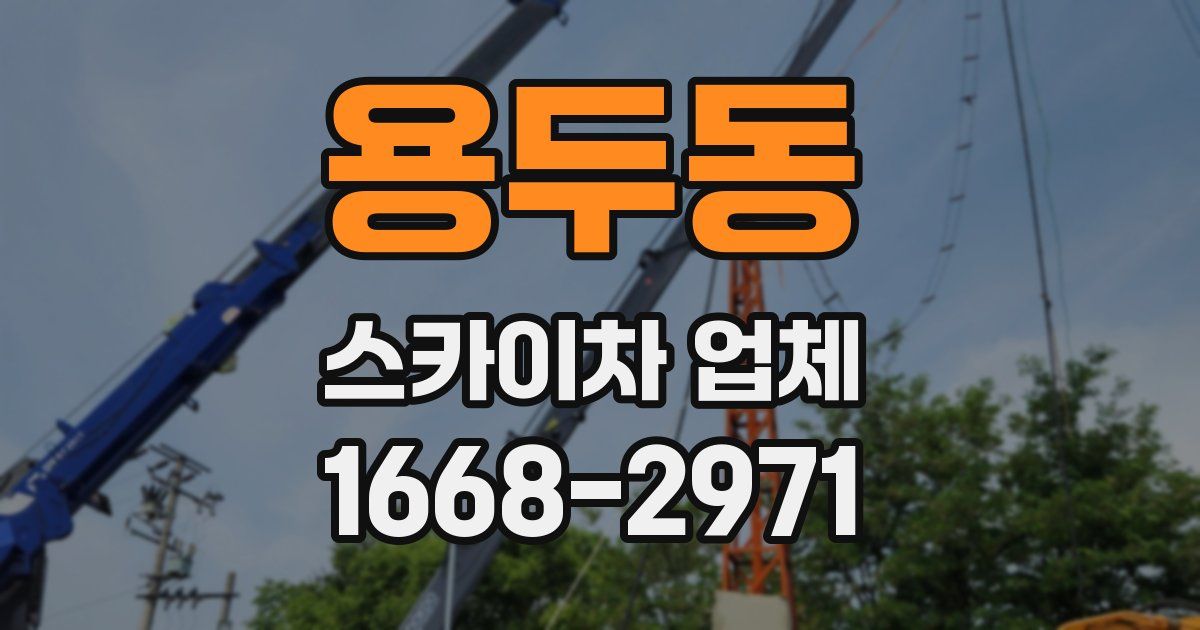 용두동 스카이차 업체