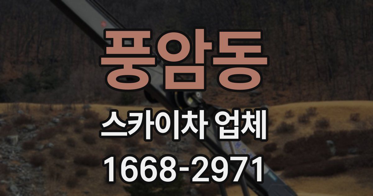 풍암동 스카이차 업체
