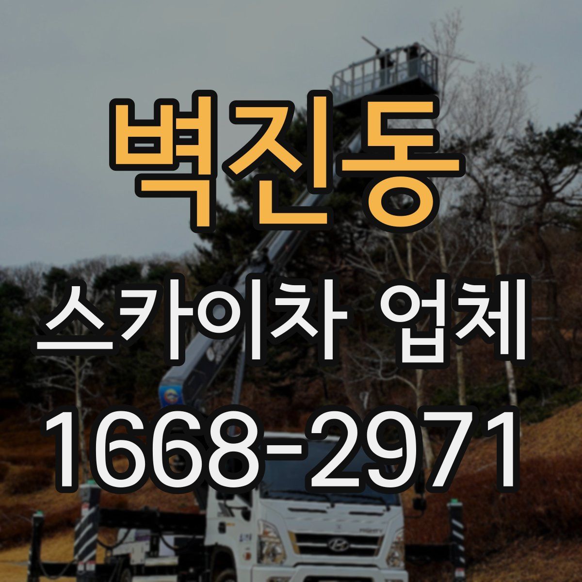 벽진동 스카이차 업체