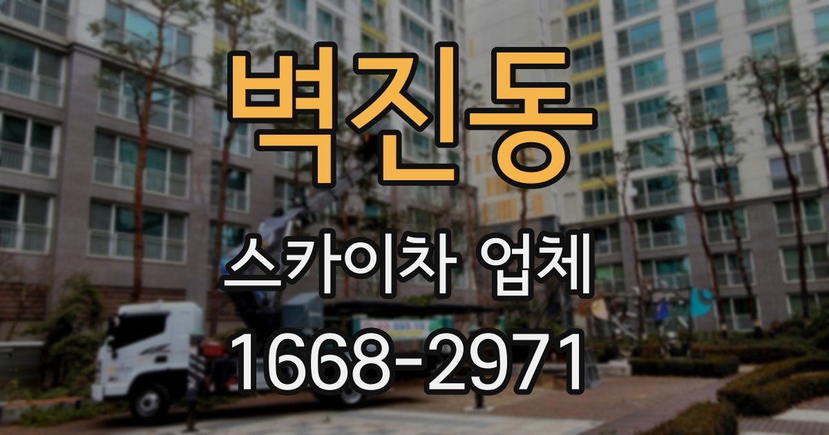 벽진동 스카이차 업체