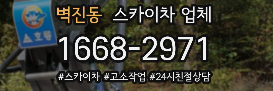 벽진동 스카이차 업체