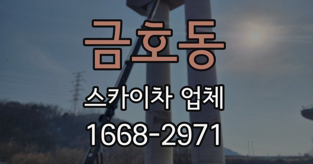 금호동 스카이차 업체