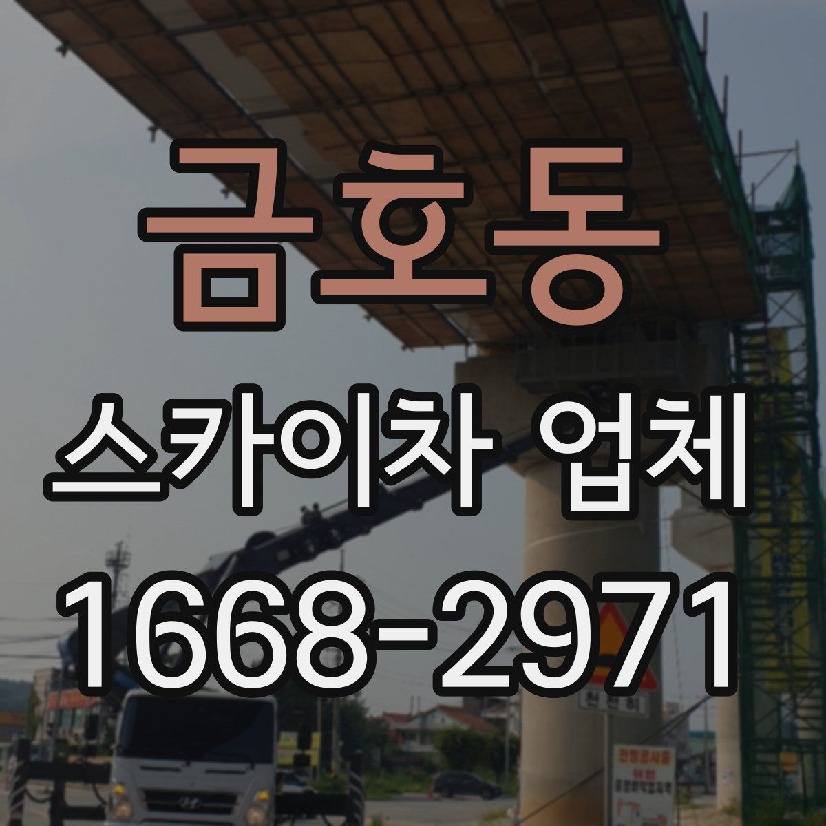 금호동 스카이차 업체