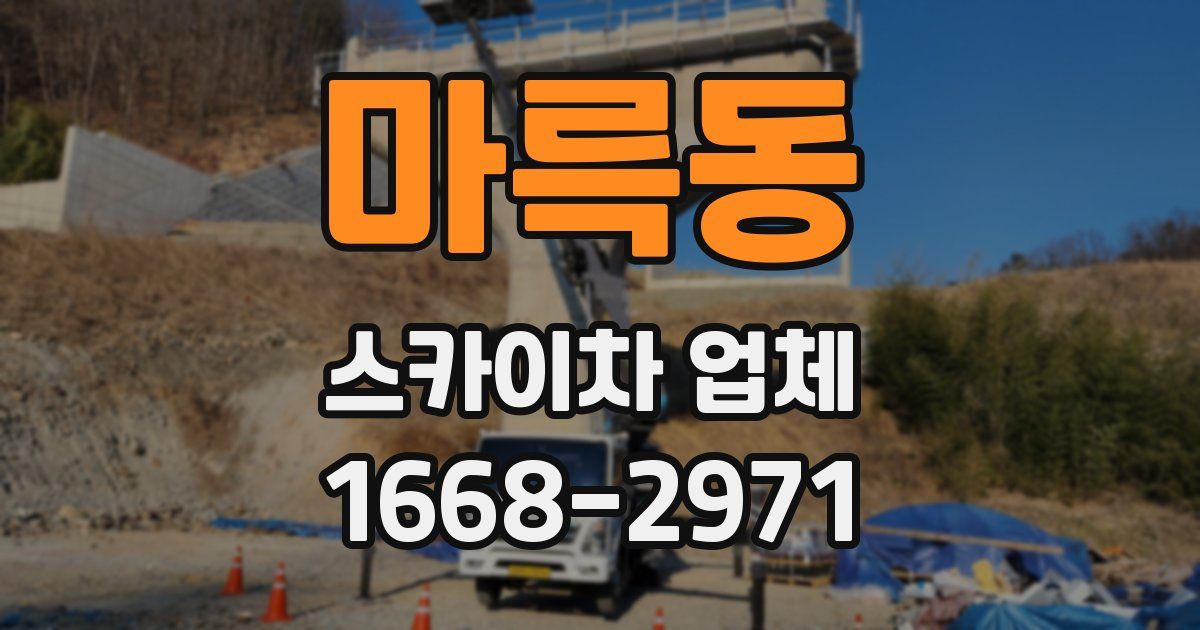 마륵동 스카이차 업체