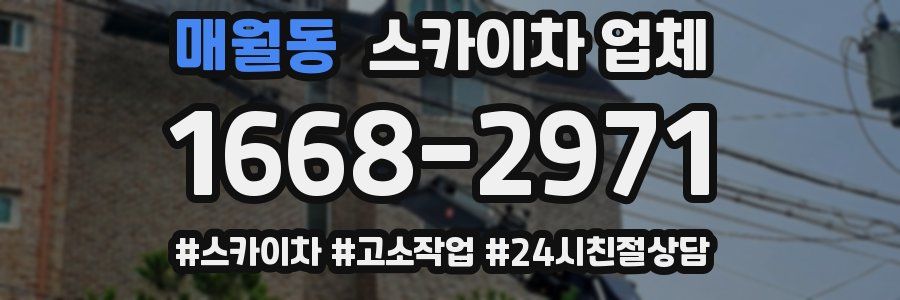 매월동 스카이차 업체