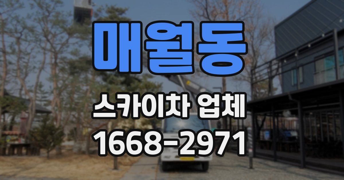매월동 스카이차 업체
