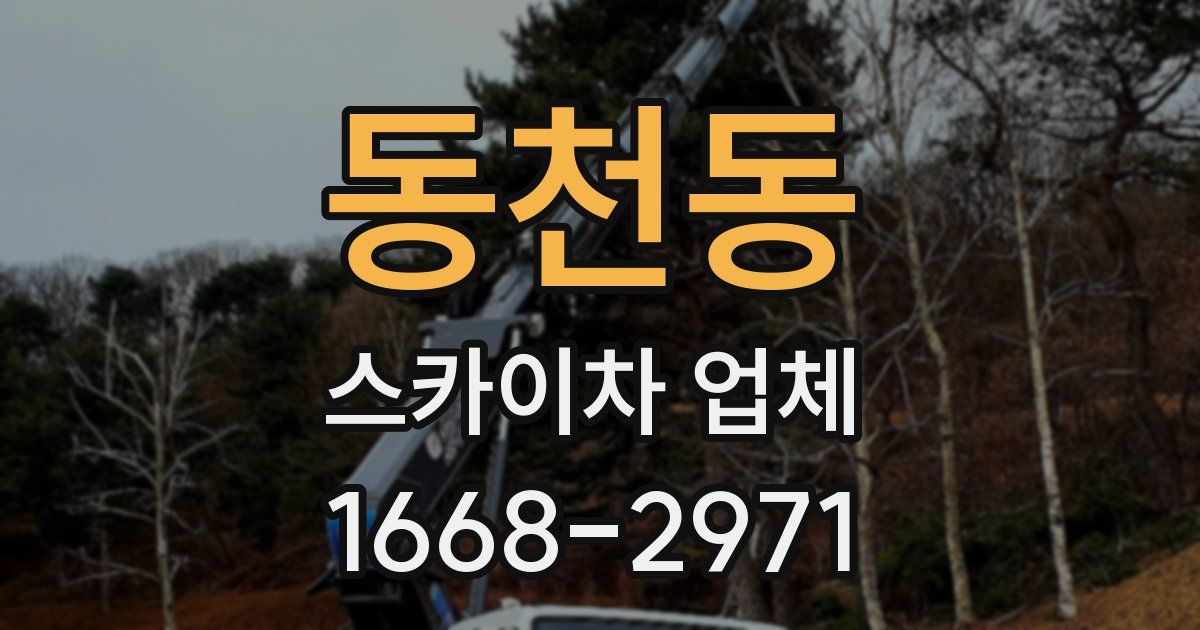 동천동 스카이차 업체