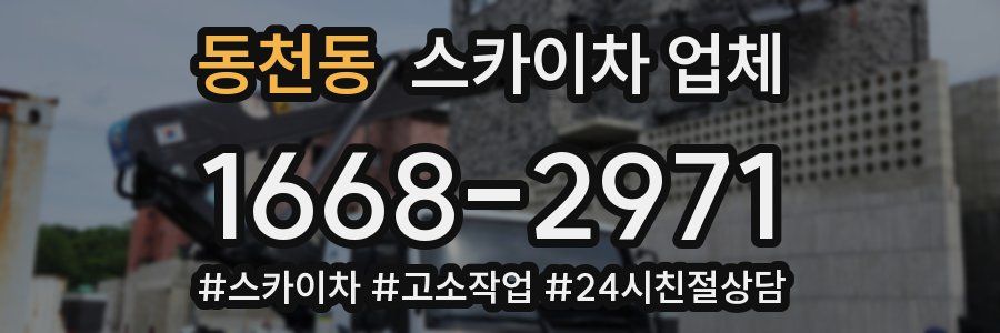 동천동 스카이차 업체