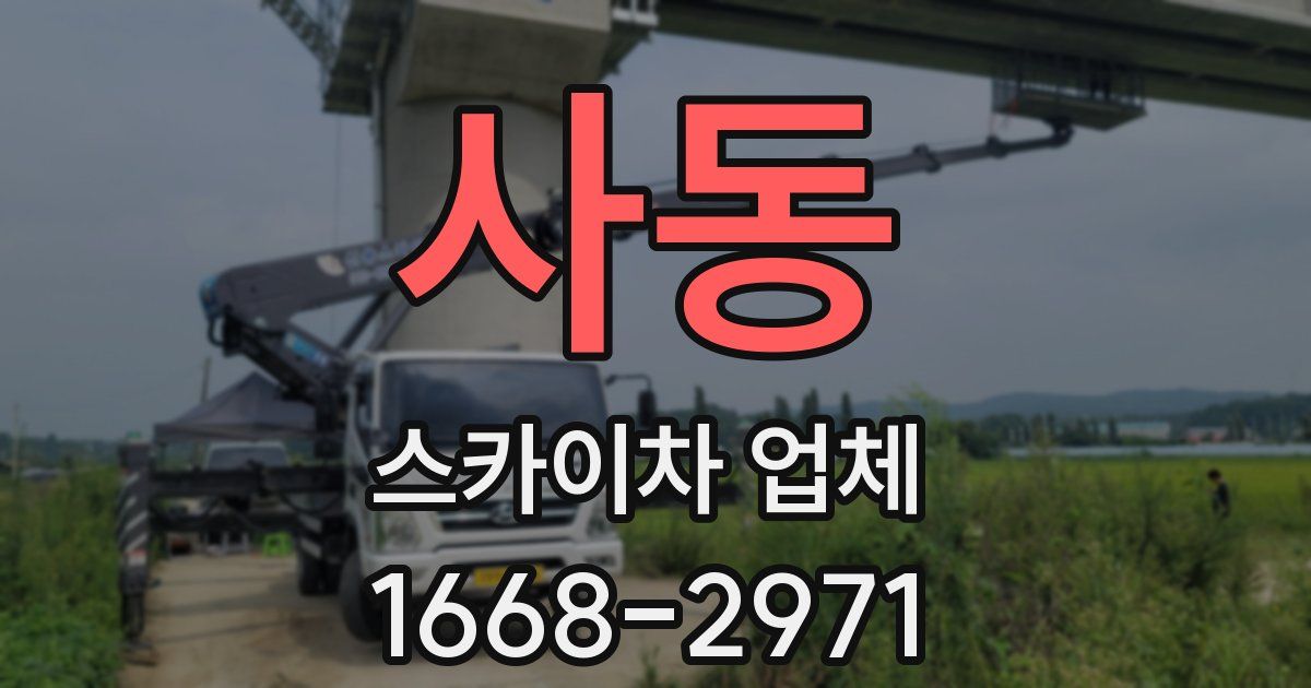 사동 스카이차 업체