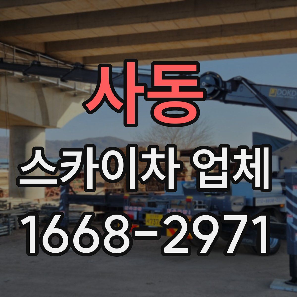 사동 스카이차 업체
